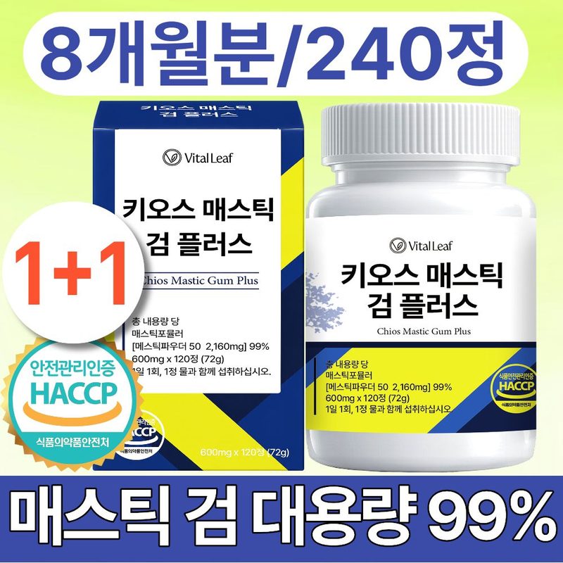 VitalLeaf 키오스 매스틱 검 플러스 식약청 인증 HACCP 제조시