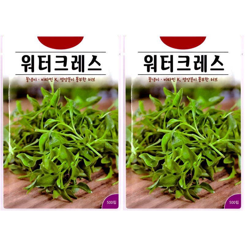 워터크레스 씨앗 500립 물냉이 허브 종자 샐러드 채소 베란다 텃밭 화분