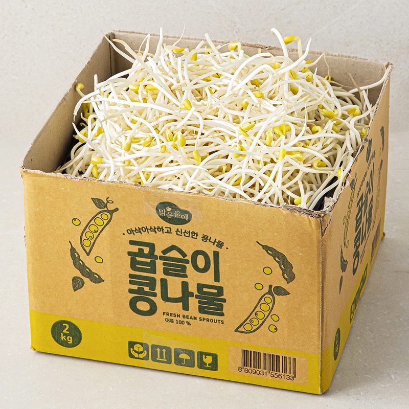 [로켓프레시] 맑은물에 곱슬이 콩나물, 1박스, 2kg