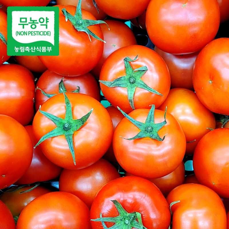 무농약 완숙토마토 친환경인증 신선한 토마토, 1박스, 1kg