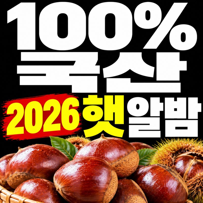 100% 국산 밤 생밤 2026 햇 알밤 부여 공주 1위산지