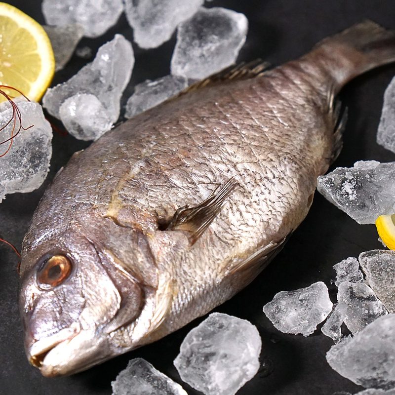 국내산 반건조 손질 참돔, 3개, 300g