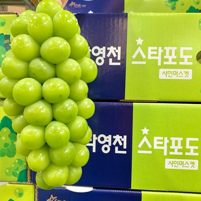 [재구매1등]허니삼구 당도선별 고당도 특품 샤인머스켓, 특품2kg(2~3