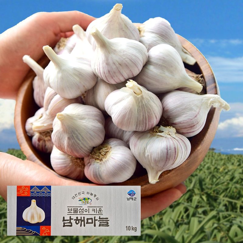 남해군 농협조공 마늘 상등급 국산 남도마늘 통마늘 제철 채소 저장용 김장