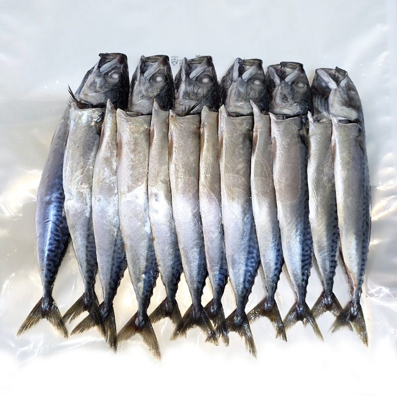[고래푸드] 국내산 자반고등어 12마리(6손), 1개, 1.9kg-2.4