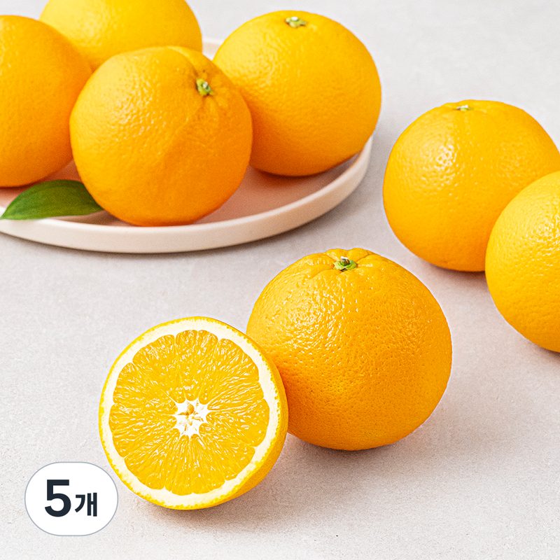 [로켓프레시] 다조은 호주 네이블 오렌지, 5개, 2kg(9~11입)