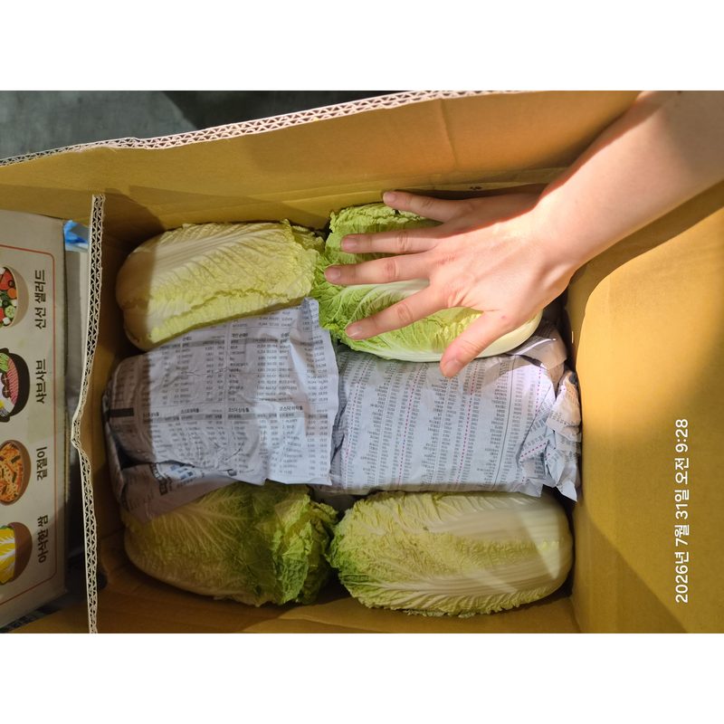 탐나는 노랑 알배기 쌈배추 (아삭하고 정말 맛있어요 !) 수량 11-12