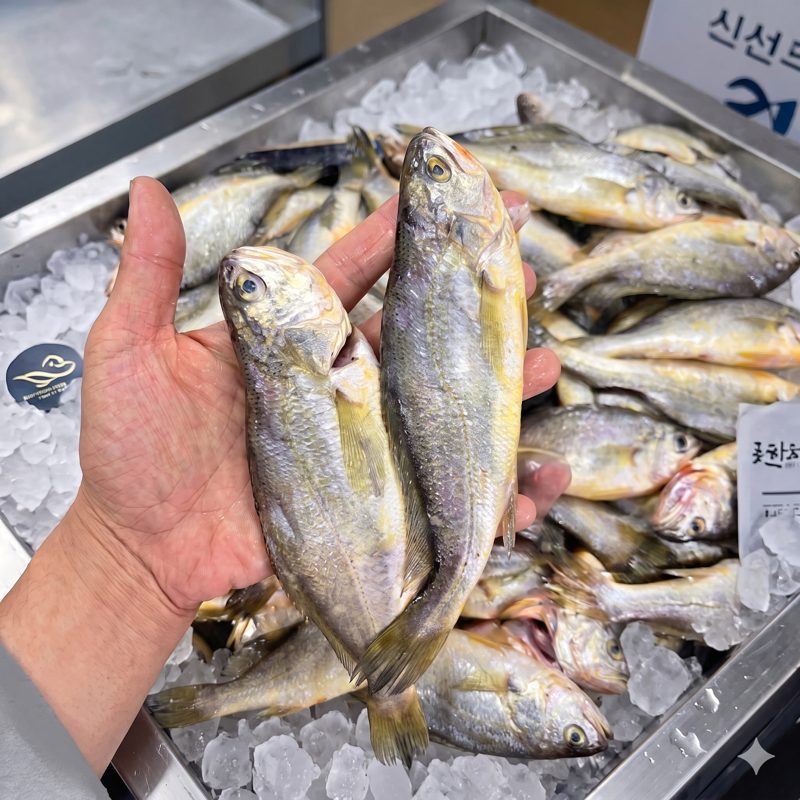 파조기(못난이 참조기) 19-22cm 5kg(65마리내외)