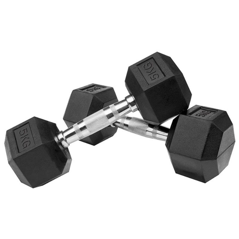 드래곤핏 홈짐 PEV 헥사곤 덤벨 헬스장 육각 아령, 2개, 5kg