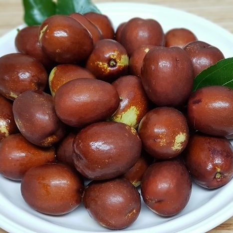 주왕농원 2026보은 황토 생대추1kg