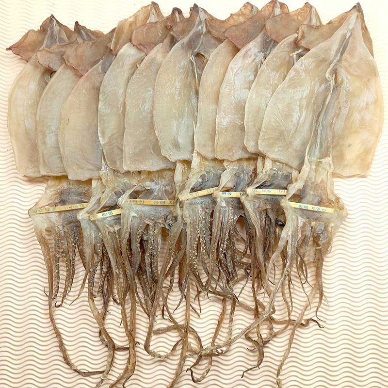 동해안 건오징어 400그램 10마리