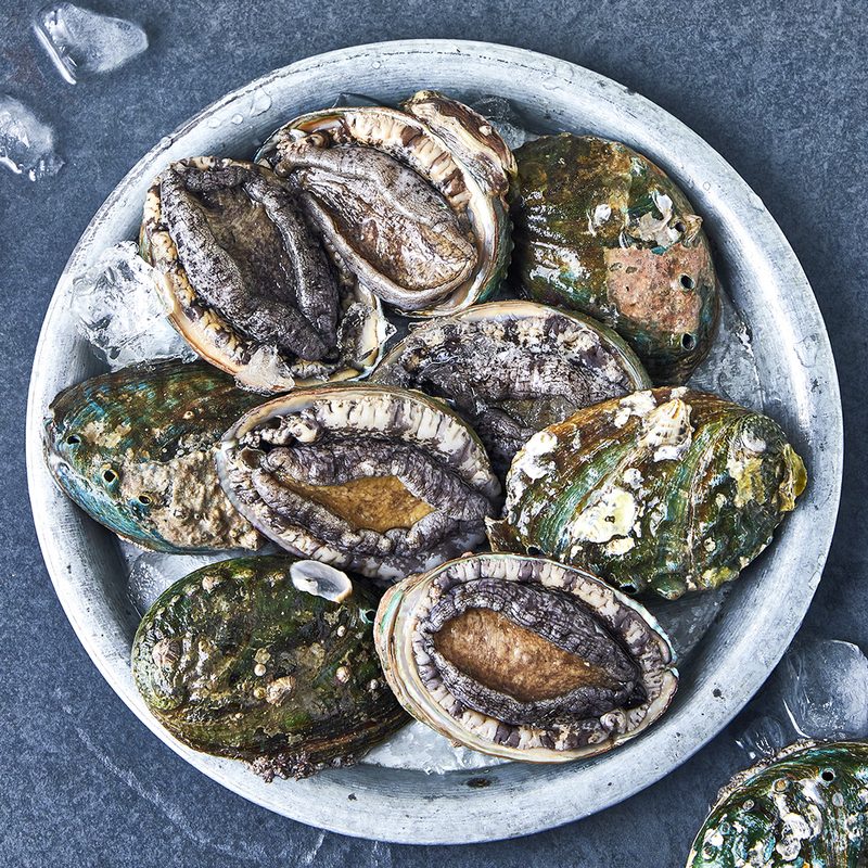 [로켓프레시] 완도맘 활전복 (냉장), 1kg 내외(특대, 9~10마리 