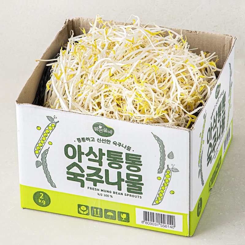 [로켓프레시] 맑은물에 아삭통통 숙주나물, 1박스, 2kg