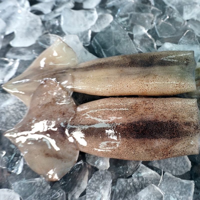 대천해 손질 통오징어 2미, 손질 통오징어 2미 급냉 (240g), 1개