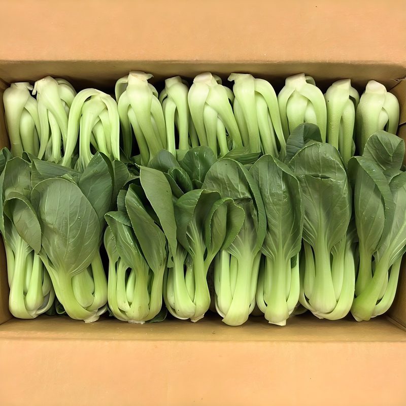 클릭마켓 국내산 청경채 1kg 마라탕 샤브샤브 용, 1kg, 1개