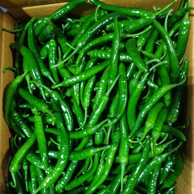 클릭마켓 국내산 매운 고추 청양고추 땡초 1kg 2kg 5kg, 1개