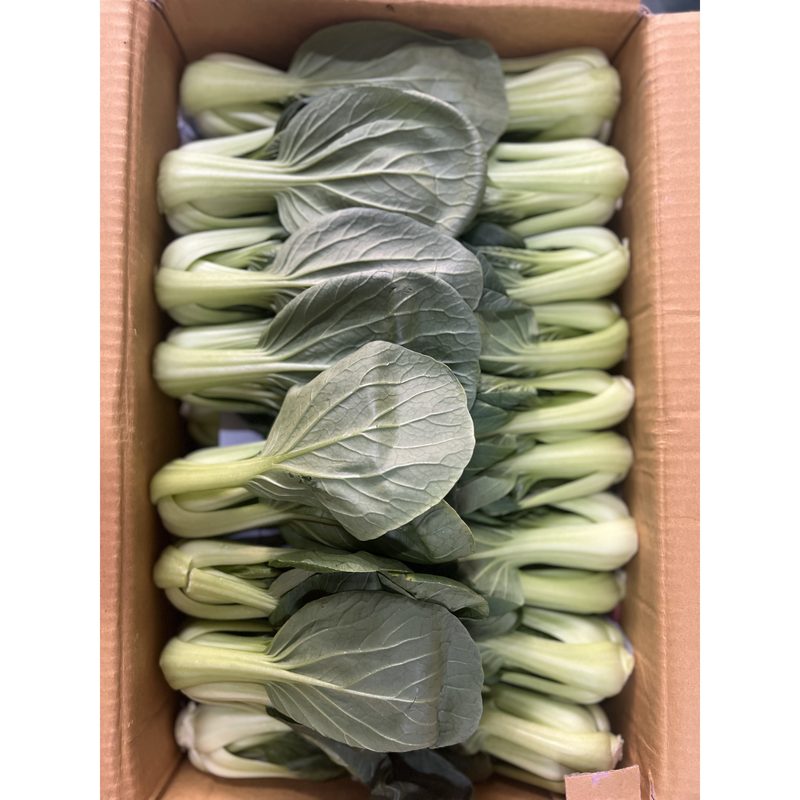 한정수량 국내산 싱싱한 청경채, 1개, 4kg