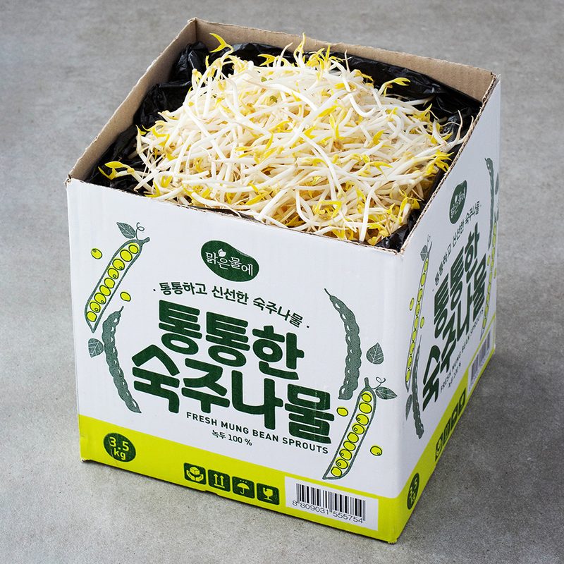 [로켓프레시] 맑은물에 통통한 숙주나물, 3.5kg, 1박스