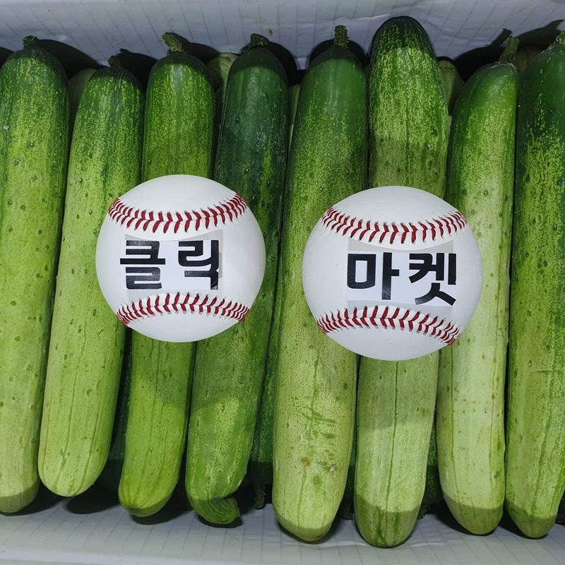 클릭마켓 백 다다기 오이 오이지 용, 1박스, 10kg 백오이