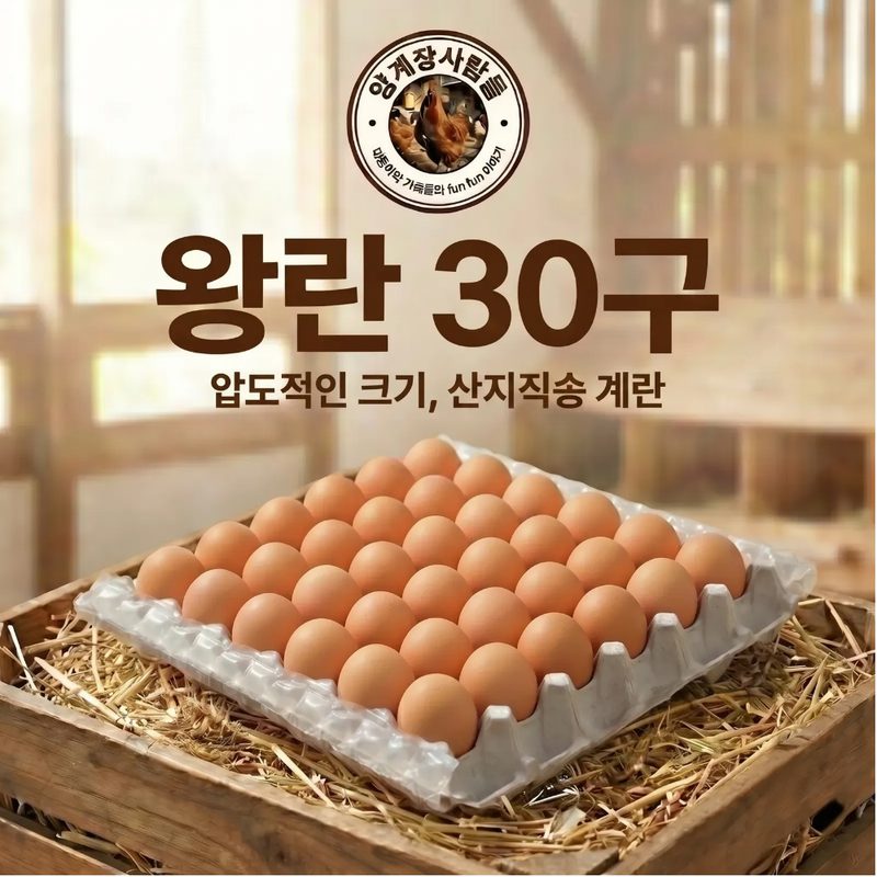 [양계장사람들] 왕란(XXL, 68g 이상) 계란 왕란특란대란 달걀 30