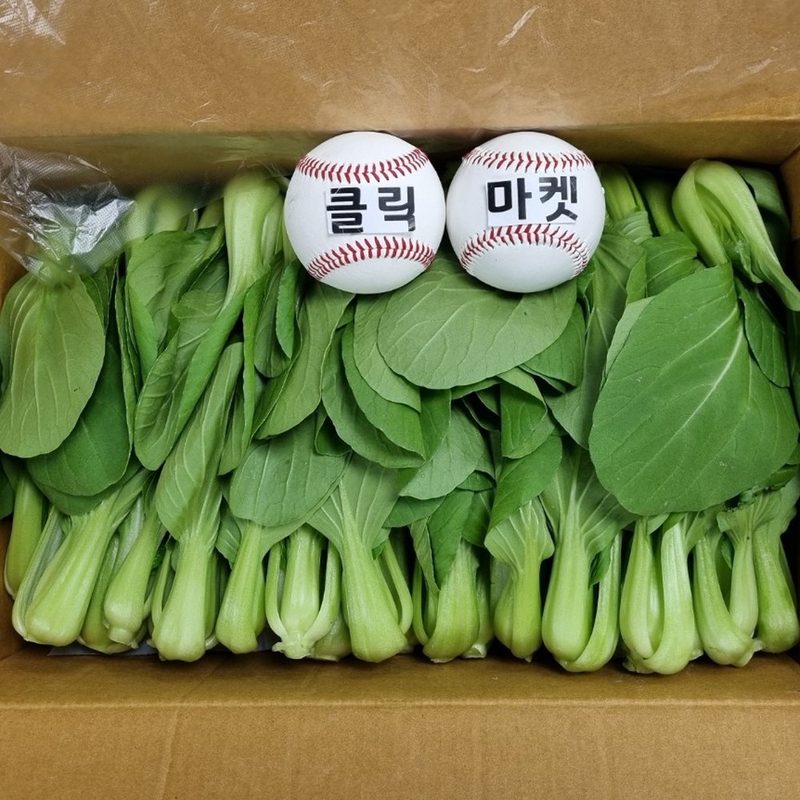 클릭마켓 국내산 청경채 4kg 마라탕 샤브샤브 용, 4kg, 1개