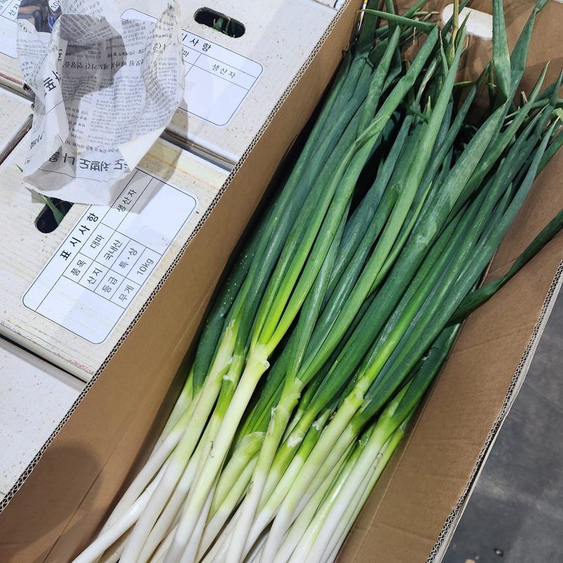 클릭마켓 국내산 대파 진도대파 부산 강원 흙대파 국산, 1개, 3kg