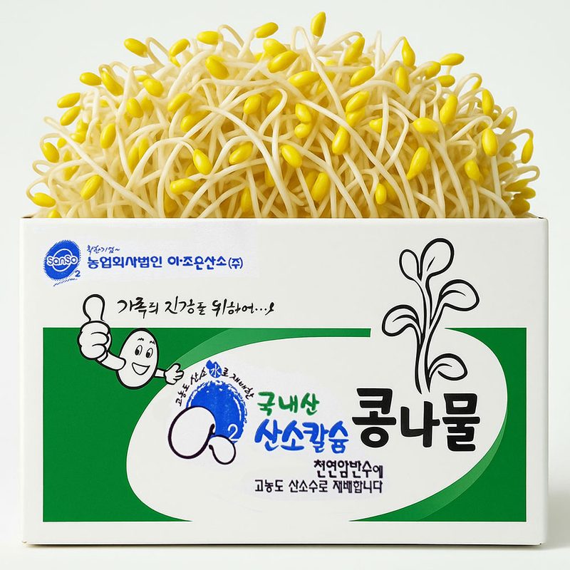 [ 평점 4.8이상 무농약 인증] 당일 생산 콩나물 국산콩 산소 콩나물