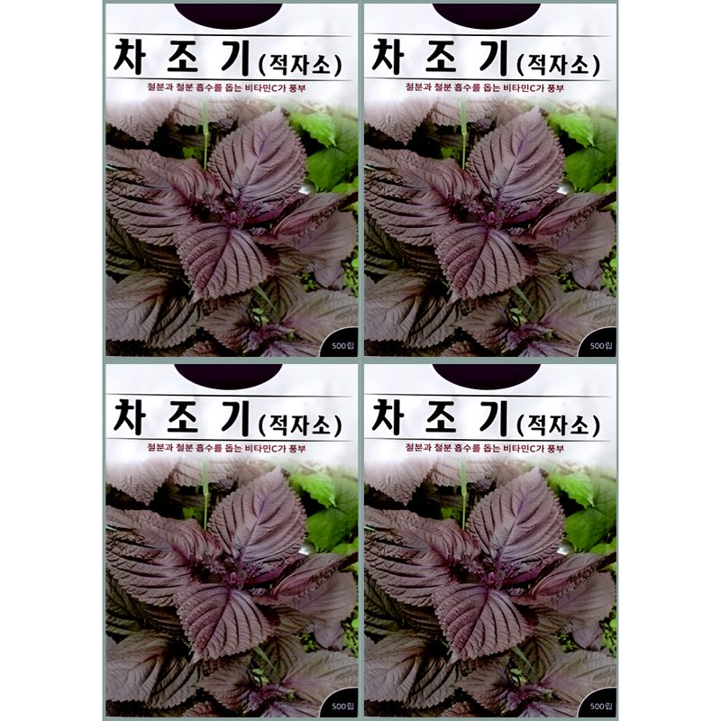 차조기 씨앗 500립 적자소 자소엽 붉은잎 향신 채소 텃밭 화분 재배 k